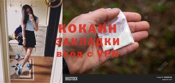 индика Сафоново