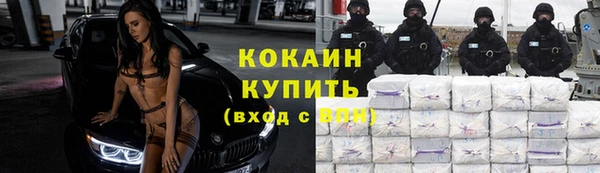 индика Сафоново