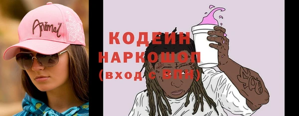 индика Сафоново