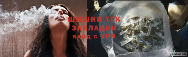 индика Сафоново
