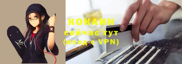 индика Сафоново
