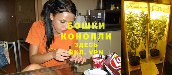 индика Сафоново