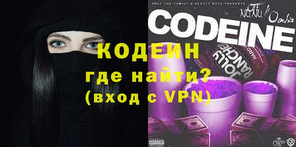 индика Сафоново