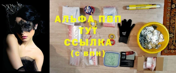 индика Сафоново