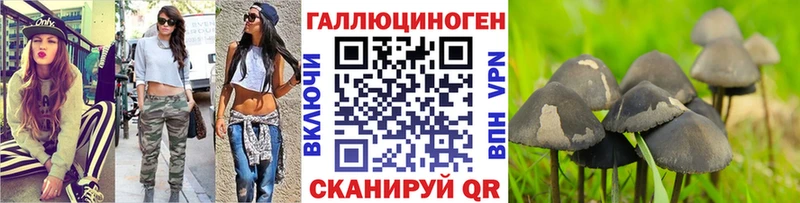Псилоцибиновые грибы Cubensis  Купить закладки  Холмск 