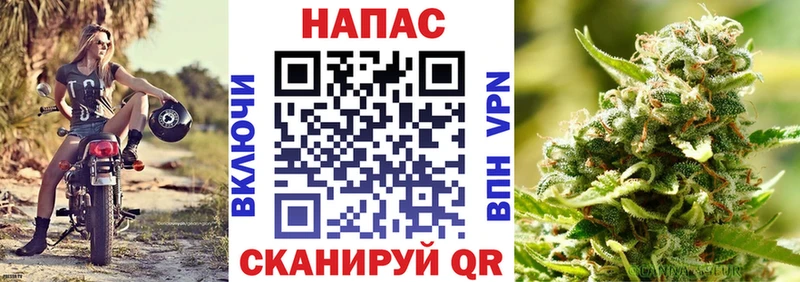 Купить закладки  Холмск  Бошки марихуана гибрид 